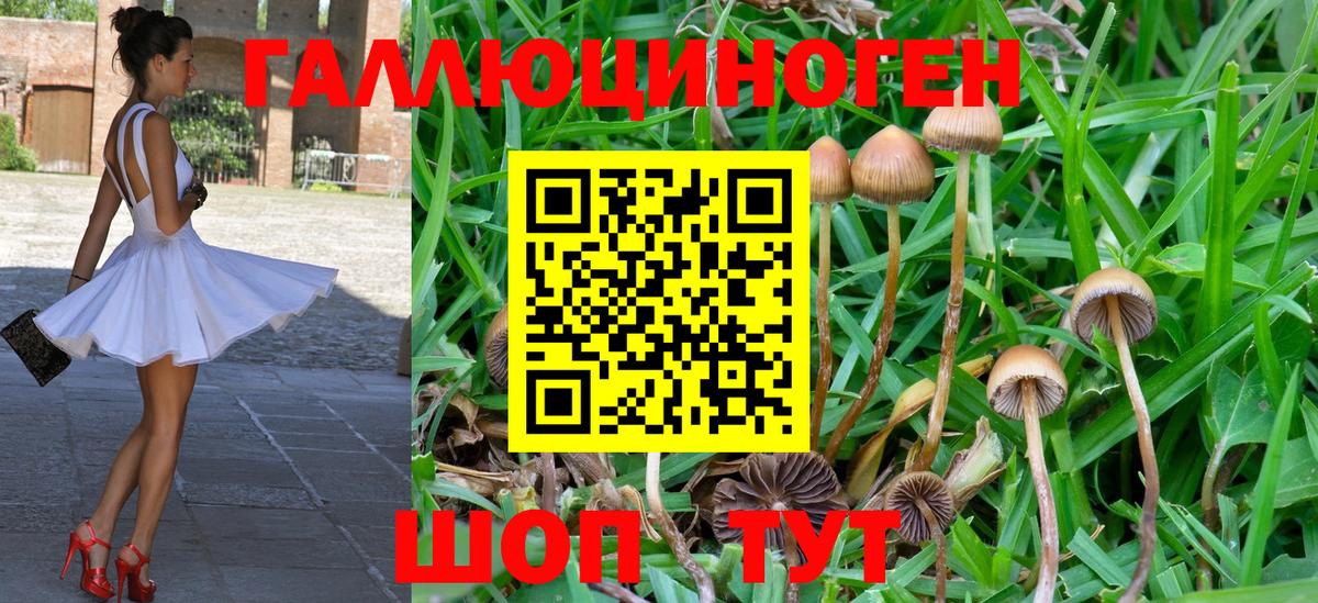 Жигулёвск  Галлюциногенные грибы Cubensis  Галлюциногенные грибы Psilocybine cubensis  Вход с VPN 